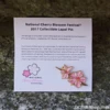 2017 Cherry Blossom Pin -Gift Sales Shop 2017 National Cherry Blossom Pin L