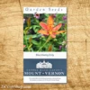 Blackberry Lily Heirloom Seeds - 3 Pack -Gift Sales Shop Blackberry Lily Heirloom Seeds L