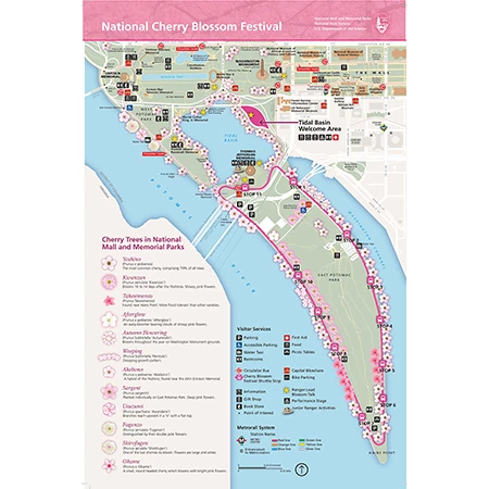 National Cherry Blossom Festival Map Print 3 National Cherry Blossom Festival Map Print