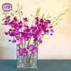 Exotic Purple Dendrobium Orchid Arrangement -Gift Sales Shop Exotic Purple Dendrobium Orchids L