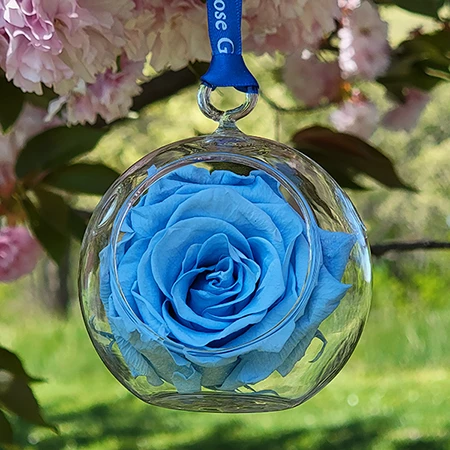 First Lady Jacqueline Kennedy Blue Rose Flower Ornament 3 First Lady Jacqueline Kennedy Blue Rose Flower Ornament