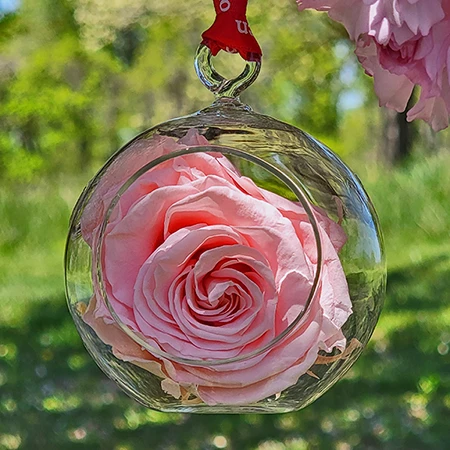First Lady Mamie Eisenhower Pink Rose Flower Ornament 3 First Lady Mamie Eisenhower Pink Rose Flower Ornament