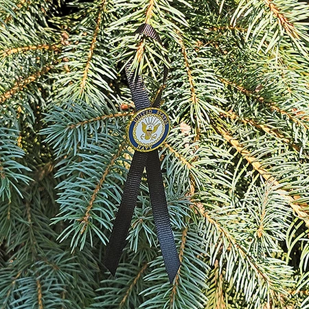 Navy Black Ribbon 3 Navy Black Ribbon