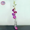 Single Purple Dendrobium Orchid With Vase -Gift Sales Shop Single Purple Dendrobium Orchid with Vase L