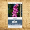 American Foxglove Heirloom Seeds - 3 Pack 1 American Foxglove Heirloom Seeds - 3 Pack -Gift Sales Shop Violet Foxglove Heirloom Seeds L
